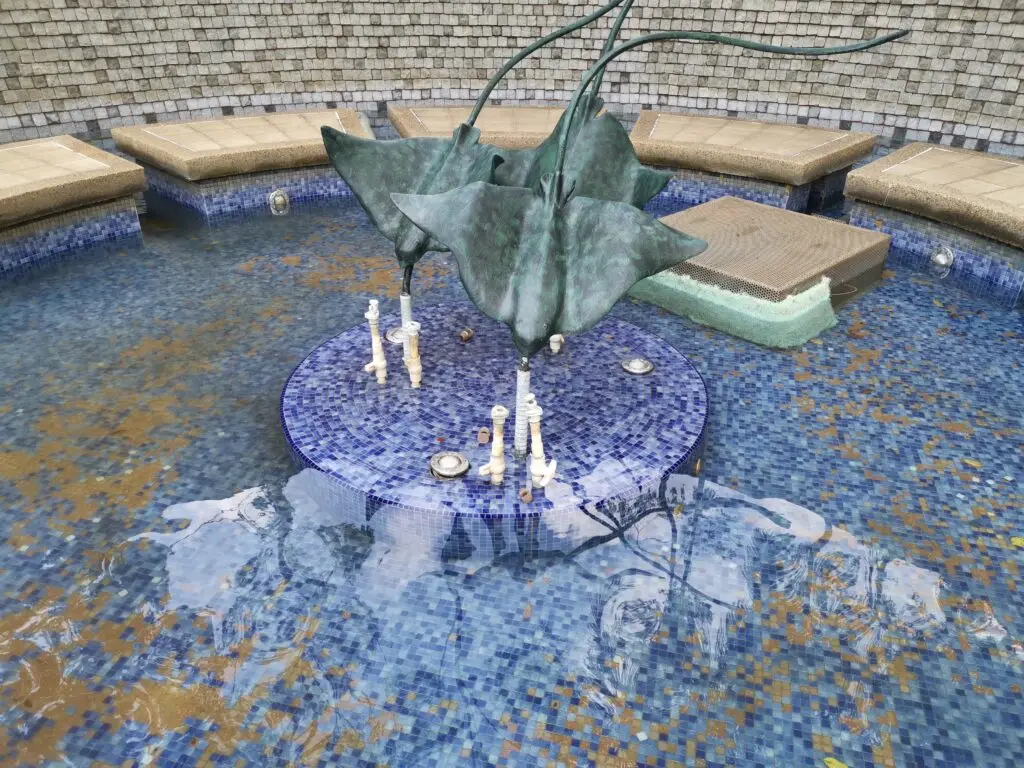 case 1 photo before water feature 2